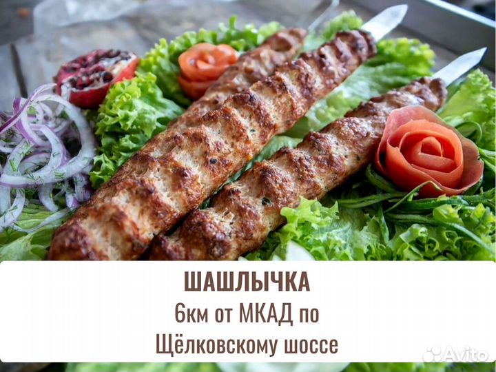 Готовый бизнес шашлычная