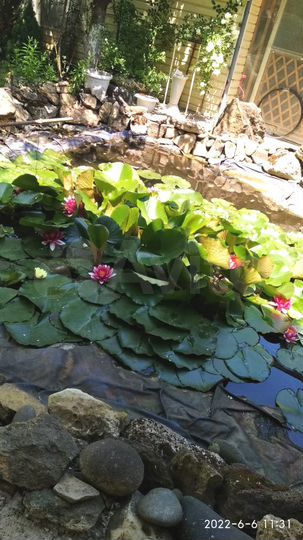 Дача 40 м² на участке 4 сот.