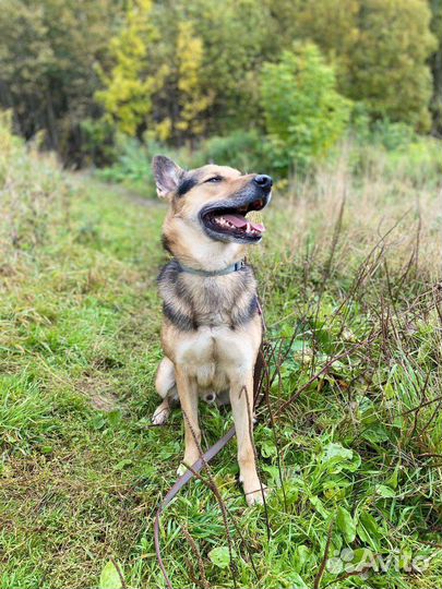 Рамос красавчик с характером