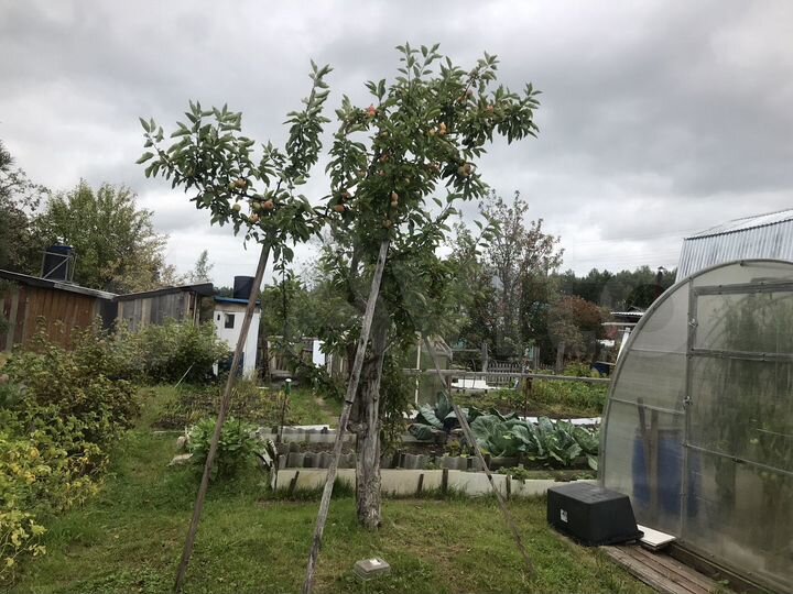 Дача 40 м² на участке 4 сот.