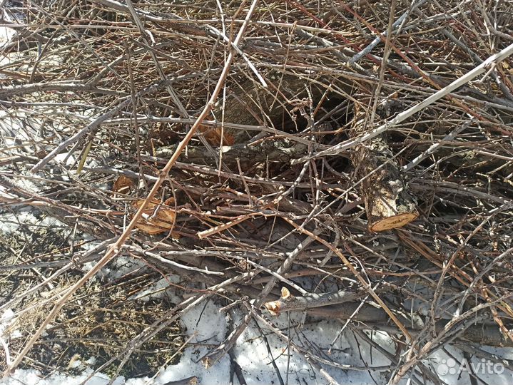 Чурбаки фрукт деревьев для мангала шашлыка