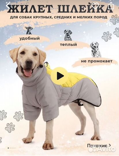 Попона для собаки 4xl