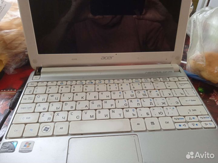Acer