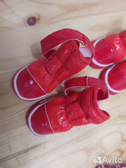 Ботинки и носочки для собак