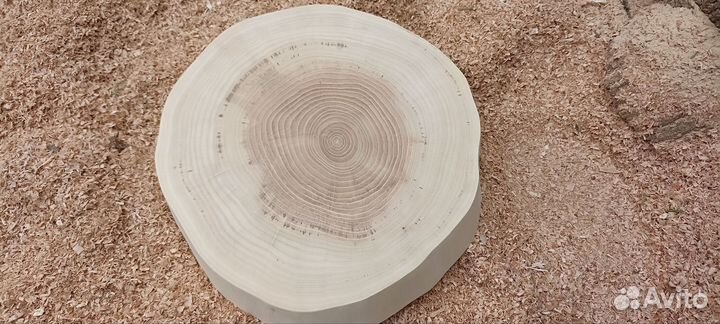 Спилы клена