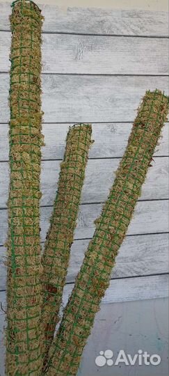 Тотем для растений