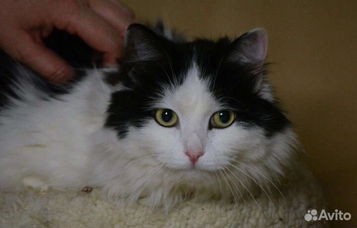 Лайза ищет теплый уголок