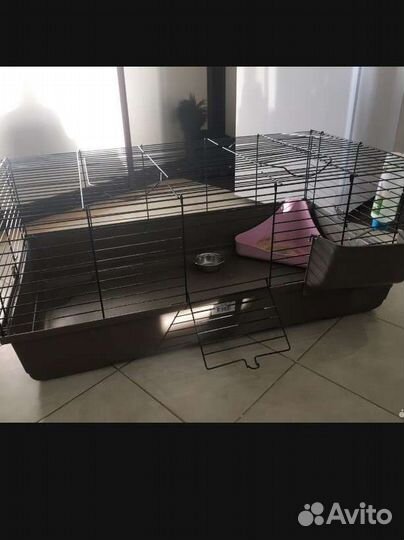 Клетка чит.опис