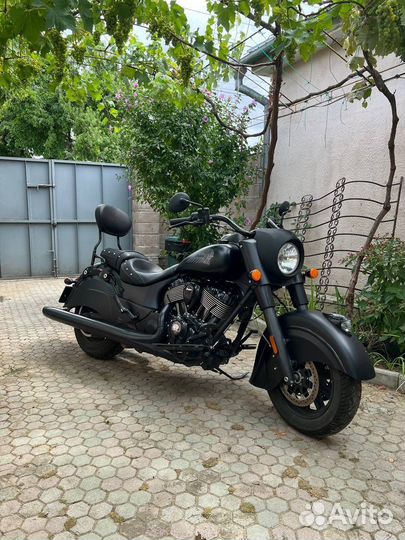 Indian dark horse