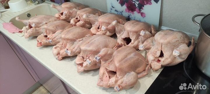 Тушка цыпленка бройлера