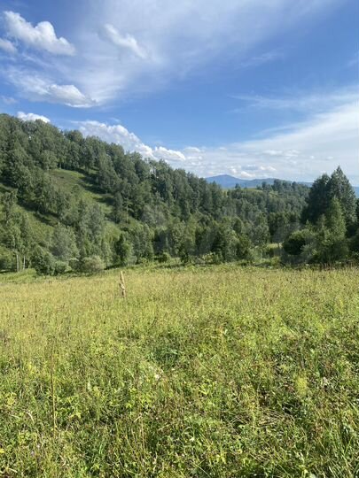 Участок 13,5 га (СНТ, ДНП)