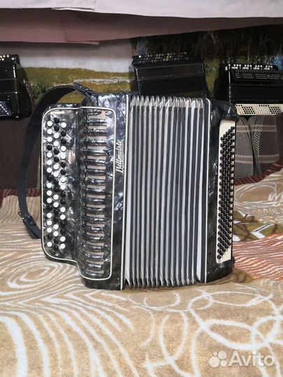 Баян weltmeister