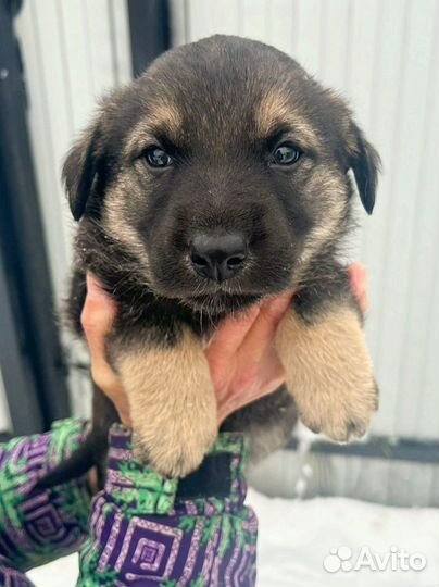 А у нас прибавление- разбираем)