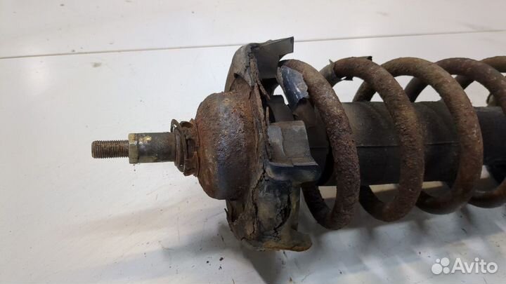 Амортизатор подвески левый передний Opel Vivaro, 2005