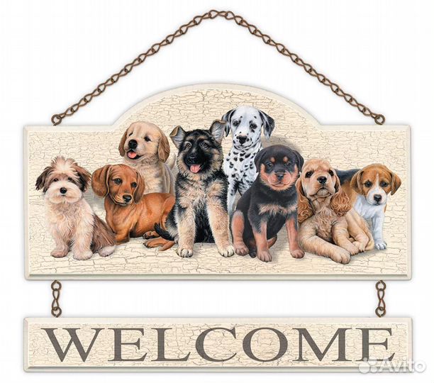 Передержка для собак