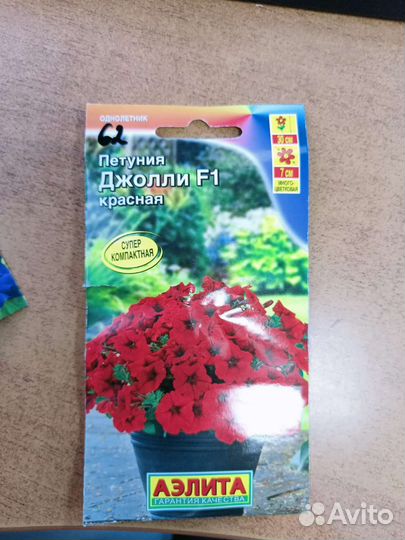 Семена цветов