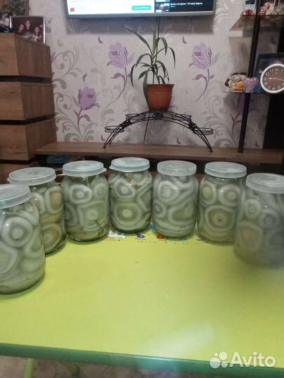 Грибы грузди соленые