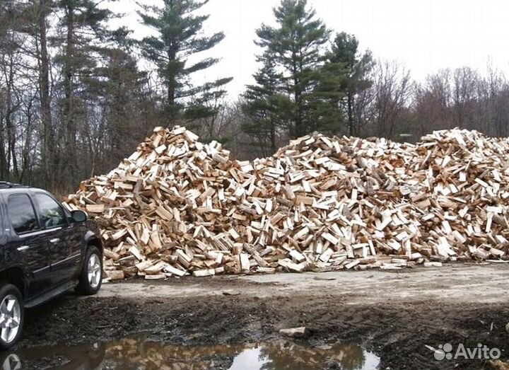Дрова в СПБ