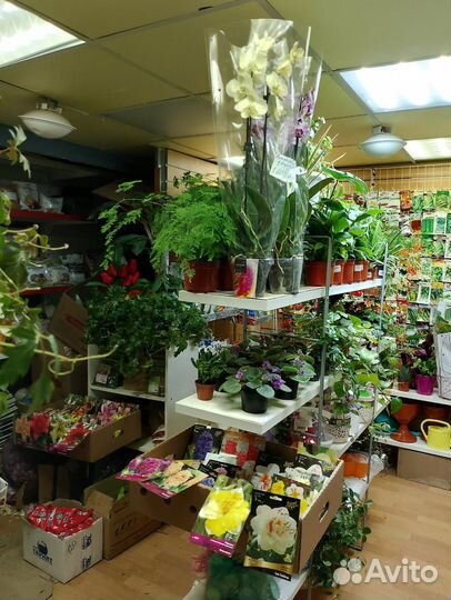 Продаю магазин садовода