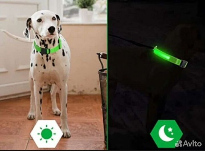 Светящийся ошейник для собак и кошек
