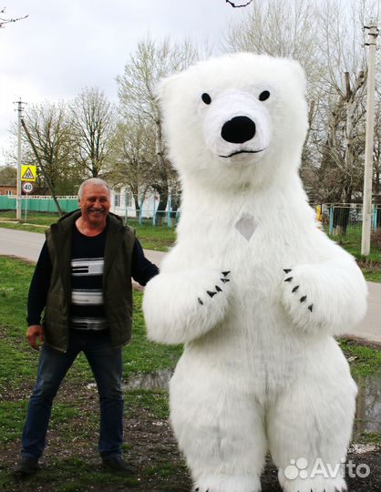 Белый мишка (Поздравление)