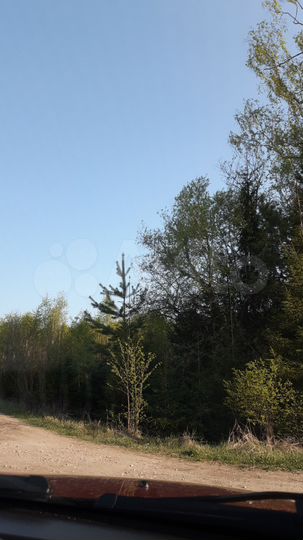 Участок 5,6 га (СНТ, ДНП)