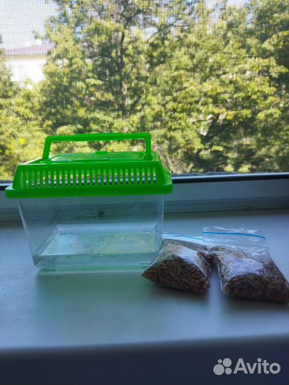 Маленькие черепашки 2 шт.Мальчик и девочка +