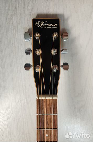 Norman Protege b18 Cedar Black