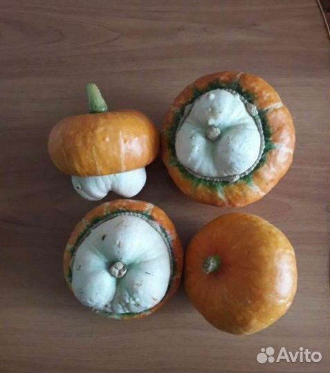 Семена тыквы розовый банан