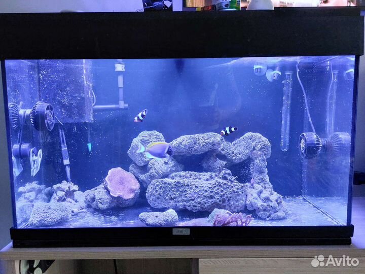 Аквариум Juwel rio 125