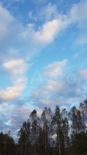 Участок 12 сот. (ИЖС)