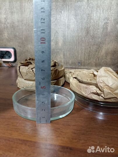 Чашка Петри