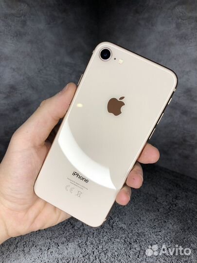 iPhone 8, 256 ГБ