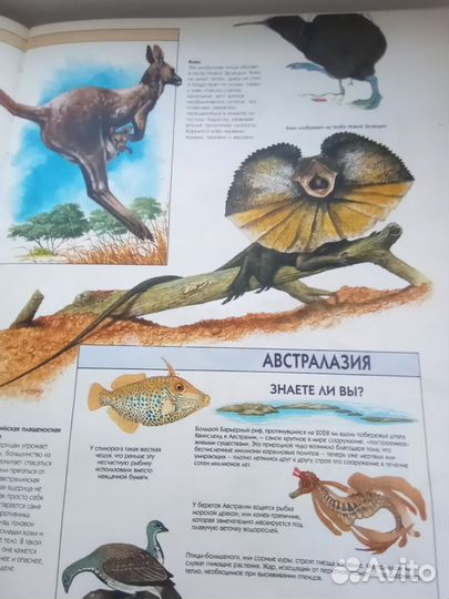 Жизнь животных 