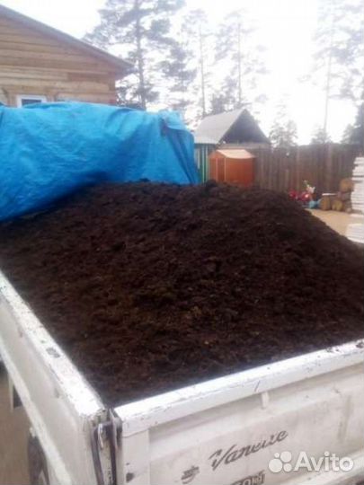 Перегной, чернозем