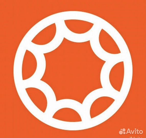 Повар на пиццу