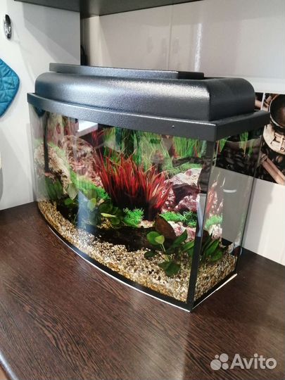 Аквариум