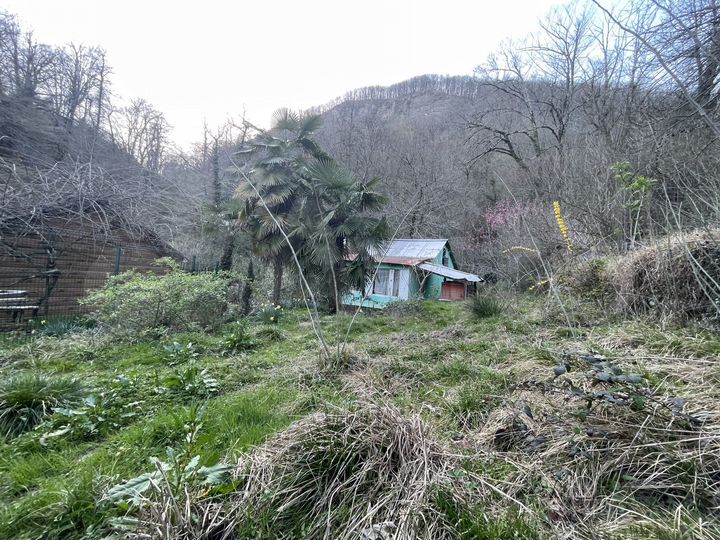 Участок 7,5 сот. (СНТ, ДНП)