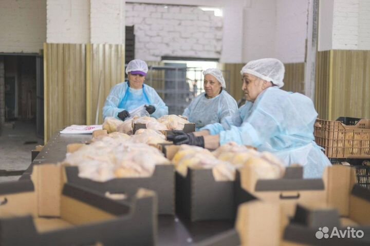 Домашний бройлер