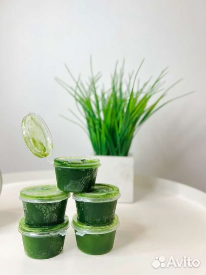 Микрозелень. Витграсс. Сок ростков пшеницы