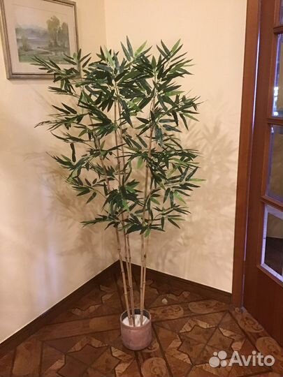 Бамбук искусственный в кашпо