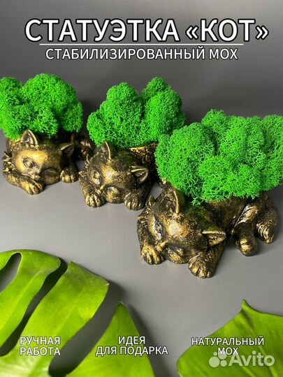 Статуэтка котенок, стабилизированный мох
