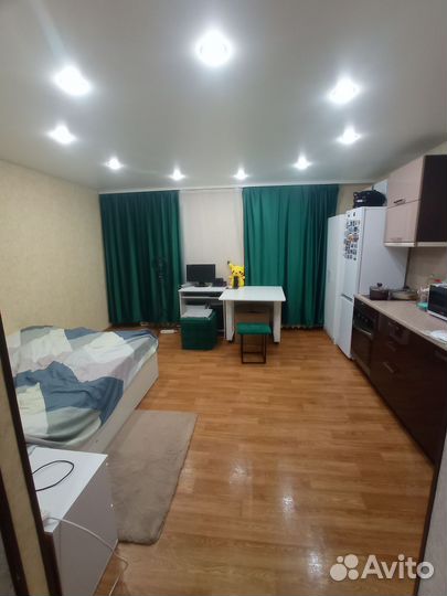 Передержка кошек