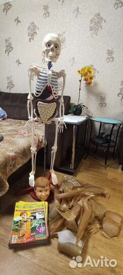 Скелет Артем