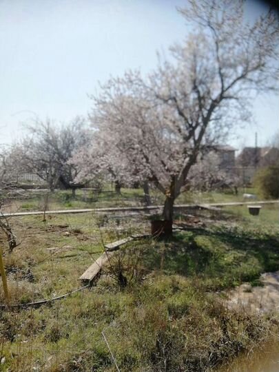 Участок 6,3 сот. (СНТ, ДНП)