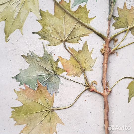 Ботанический барельеф 