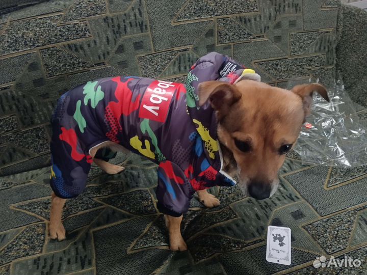 Зимняя куртка для собаки