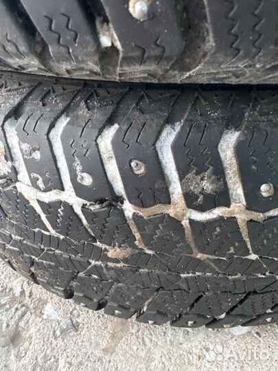 Matador MP 50 Sibir Ice 185/70 R14