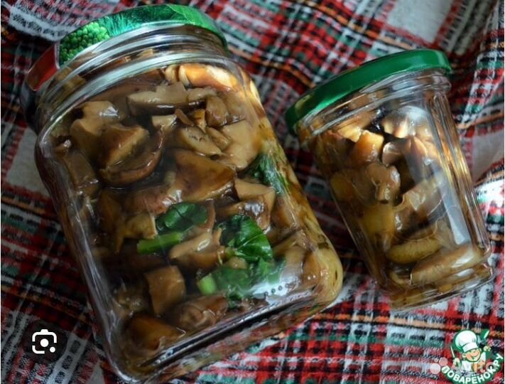 Грибы соленые