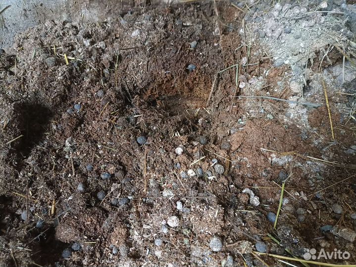 Мешок навоз кроликов